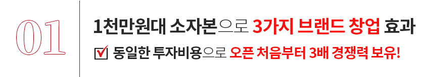 1천만원대 소자본으로 3가지 브랜드 창업 효과